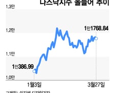 美증시, 강해 보이지만 속은 '비실'…대형주만 버티는 장세[오미주]