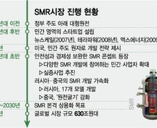 "2030년 전 기업 주도 'SMR' 도입 가능"…민·관 합작도 만지작