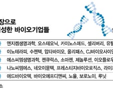"사기 아니야?"…'개미지옥' 된 특례상장 바이오기업