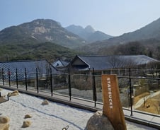 [르포] 힐링하려 찾았는데…빛 좋은 스타벅스 D매장의 숙제