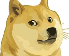 [검색폭발 이슈키워드] 도지코인