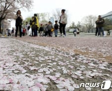 [검색폭발 이슈키워드] 공진화