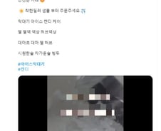 '마약' 검색하자 게시물 80개 '우수수'…그래도 수사 못한다, 왜