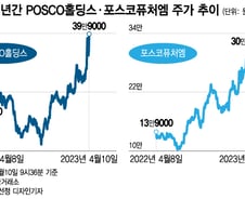 "신고가, 신고가!" 포스코 주주들 신났다…이차전지 대장株 '굳건'