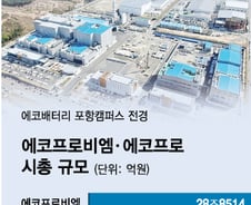 "나만 없나봐, 일단 사!"…600% 오른 에코프로 70만원 뚫었다