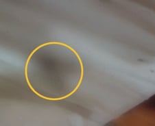 [더영상] 모텔 침대에 진드기 '득실'…오토바이 6대 브레이크 '싹둑'