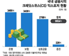 [단독]국내 금융사 CS發 위험 부담 사실상 없어…신종자본증권 투자 안해