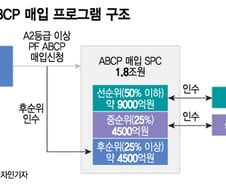 [단독]"증권사 1곳 빼고 모두 상환"... 채안펀드 연장 이유는?