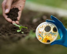 미생물 농업으로 기후변화를 해결할 수 있을까?[PADO]