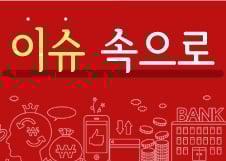 [이슈속으로]카드사 조정자기자본비율 개정, 지난해 이어 올해도 어려운 이유