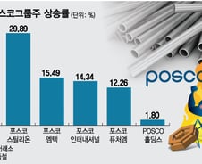 신고가에 상한가까지…연일 활활 타오르는 포스코그룹株