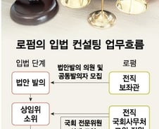 회장님의 그 립밤도 '컨설팅'이었다…국회 가는 기업들 "로펌 먼저"