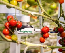 결국 물거품이 되는 스마트팜·수직농업의 신화 [PADO]