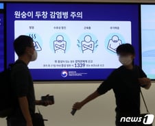 엠폭스 환자 2명 추가, 누적 42명…국내 감염 추정