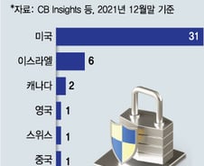 "상폐시키고 美 가자고"…시총 1위 몸값 고작 6200억원, 韓보안업 한숨