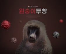 엠폭스 확진자 느는데… 국민 10명 중 6명 "난 안 걸린다" 자신감