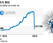 22% 반등→급락, 개미들 '하따' 베팅…"하락세 안 끝났다" 경고