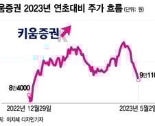 김익래 회장 주식매도 악재됐나...키움증권 9일 연속 하락