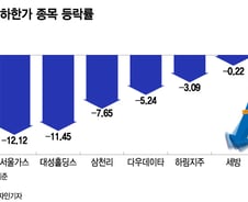 "급락 경고했잖아"…반짝 반등에 뛰어든 '하따' 개미도 물렸다