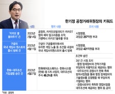 카카오·구글 잡고, 한화-대우조선 인수까지...짧지만 길었던 8개월