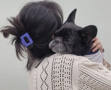 6번 새끼 낳고, 한겨울에 버려진 '콩지'…품에 꼭 안았다