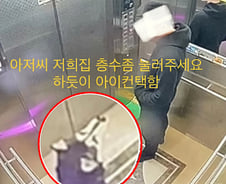 집 잃은 강아지에게…'엘베 버튼' 눌러준 아저씨[인류애 충전소]