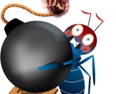 저점 매수 기회?…불나방들 SG사태 하한가 종목 2700억 쇼핑