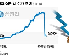 "가치주가 무슨 소용?"…개미들, 무더기 하한가 종목 '싹쓸이'