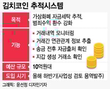 [단독]검찰, 김치코인 추적시스템 구축 착수…전세계 최초