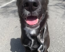 "더는 혼자서 춥지 말아"…그리 가족이 됐다