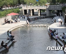 [단독]"댕댕이들 좋겠네" 서울시, 청계천 반려견 출입 '적극'검토