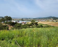 [르포]입소문 퍼지자 정용진도 인증샷…매일유업 회장이 공들인 '아이들의 천국'