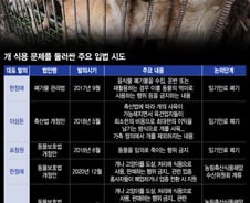 "손흥민 차별 없도록"···'개고기 금지 특별법' 6월중 발의된다