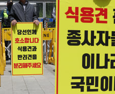 "아직 많은 국민들이 개고기 먹어…개가 아니라 사람이 학대당해"