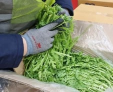 버려지는 '못난이 농산물' 5조원…농가 살리고, 탄소 줄이는 이곳