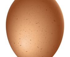 둥글고 뾰족한 달걀, 어디를 밑으로 놔야 할까 [한 장으로 보는 건강]