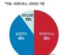 [단독]'AI 고공행진' 엔비디아, SK하이닉스에 또 러브콜