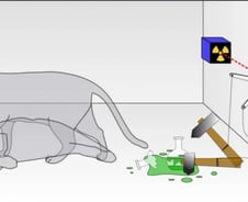 '슈뢰딩거 고양이' 찾는 이재용 재판