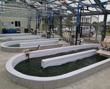 우주인 먹는 '고단백 슈퍼푸드'…제주에서 4배 싸게 생산한다