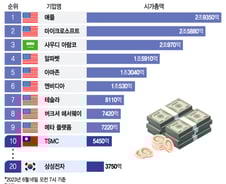 [더차트] 엔비디아 1조달러·TSMC 5450억달러…삼성 시가총액은?