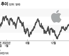 애플, 성장성에 비해 너무 비싸다 vs 프리미엄 이유 있다[오미주]