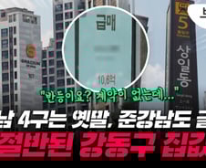 '강남 4구'라던 강동, 집값 반토막…준강남도 안심 못한다[부릿지]