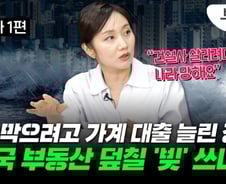 부동산 시장, 대출로 연명치료…"빚 내서 집 사면 큰일나요"[부릿지]