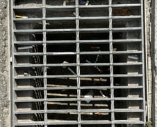 [르포]담배꽁초가 수북이…"곧 장마인데 빗물받이 또 막힐라"