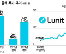 정말 돈 될까…석달 만에 작년 매출 만큼 번 '루닛' 비결은?