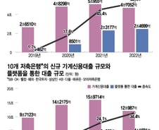 [단독]플랫폼, 지방·저축은행 새 대출 절반 차지…단 3년만에