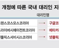 [단독] 구글·메타, 국내 대리인 교체…"페이퍼컴퍼니 대신 韓 지사로"