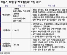 "아기 낳으러 왔지만, 제 이름은 비밀이에요"...이게 되는 나라들