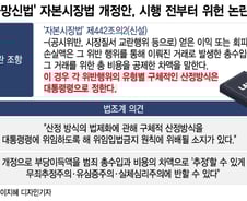 '대통령령으로 부당이득액 산정' 오히려 독?…법 통과 직후 위헌 논란