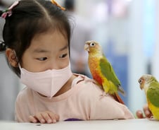 [기자수첩] 개는 되고 앵무새는 되지 않는 것